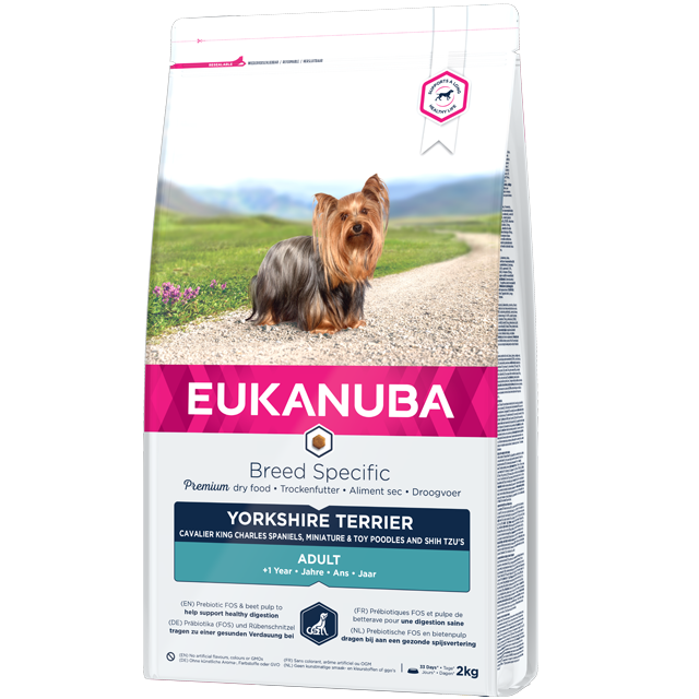 Corchete novato Motivación Alimento para perros adultos Yorkshire Terrier - Pollo | Eukanuba