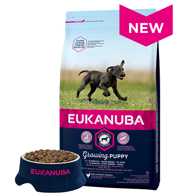 Eukanuba Puppy Large Breed Feeding Chart